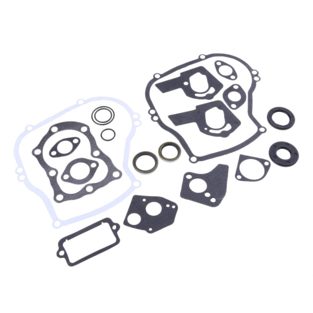 Engine Gasket Set for    495603 Replaces # 397145, 297615