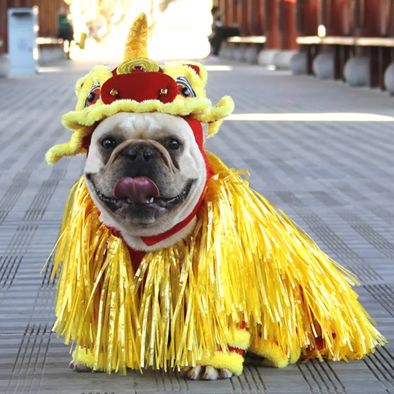 Un perro vestido con un disfraz que incluye un tocado con un diseño rojo y amarillo, que se asemeja a una corona o un sombrero, y una boa de plumas amarilla alrededor de su cuello.