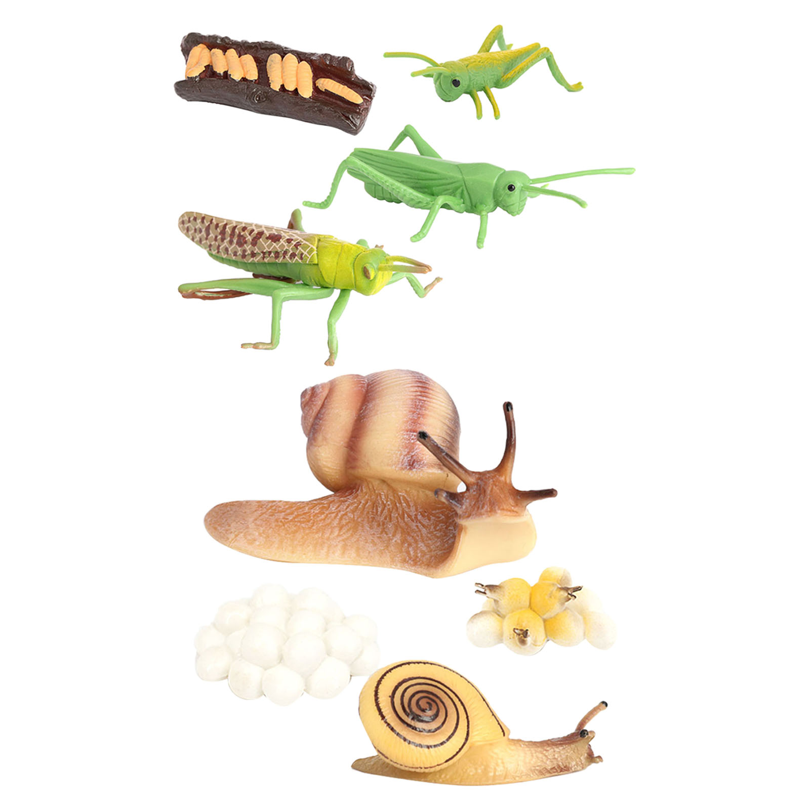 Kids Simulation Animal Figures Toys Grasshopper Snail Growth Process Models