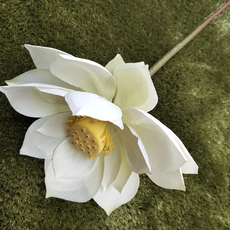 Una sola flor blanca con un centro amarillo, que parece ser un lirio. La flor está en plena floración y descansa sobre una superficie texturizada que parece una alfombra o un tapete con un tono verdoso.