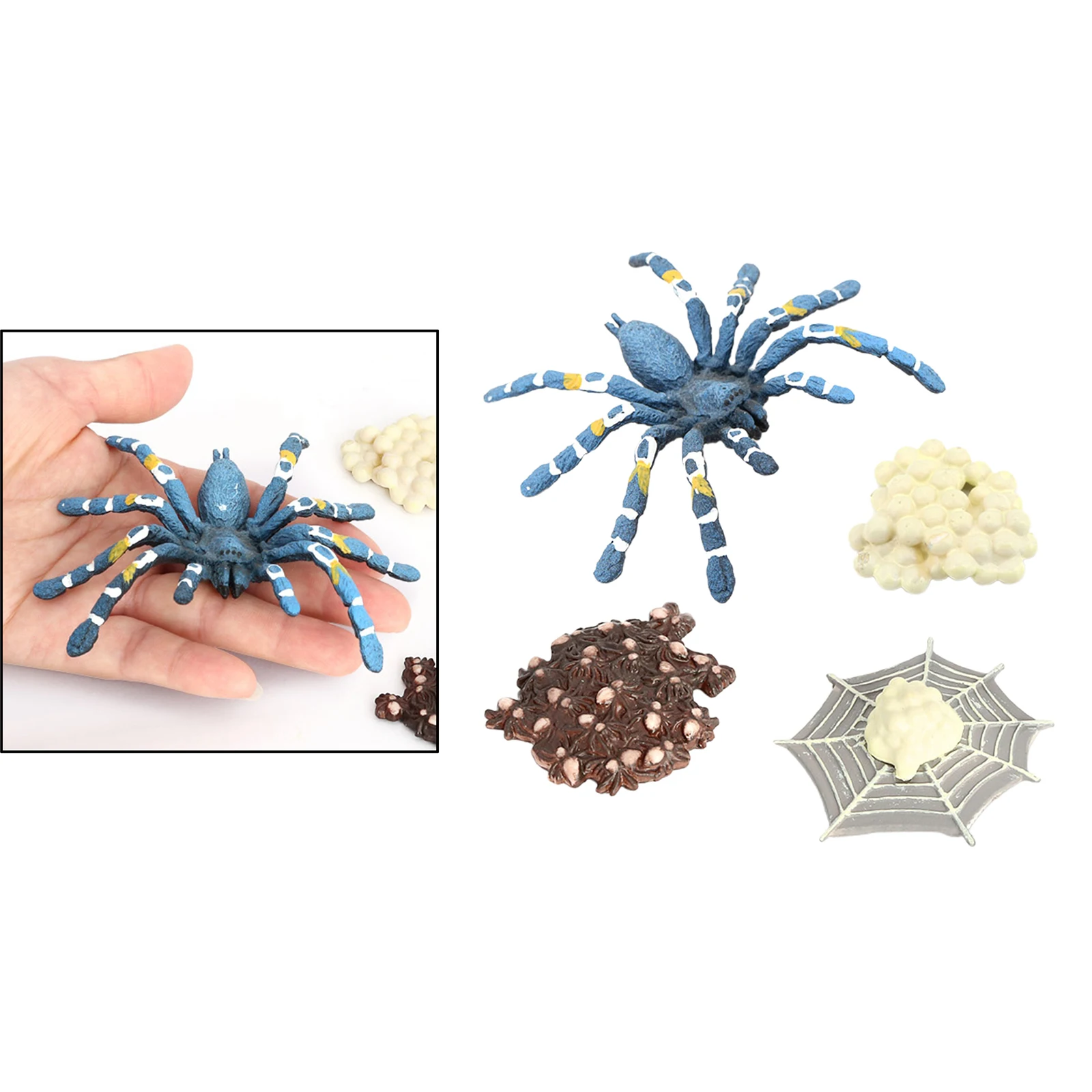 4Pcs Assorted Plastic Insects Bird Eating Spider Model Kids Educational Toy Blue
