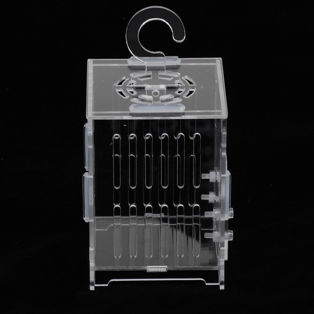 Durable Acrylic Small Insect Cage Grasshopper Feeding Cricket Cage Indoor Toy