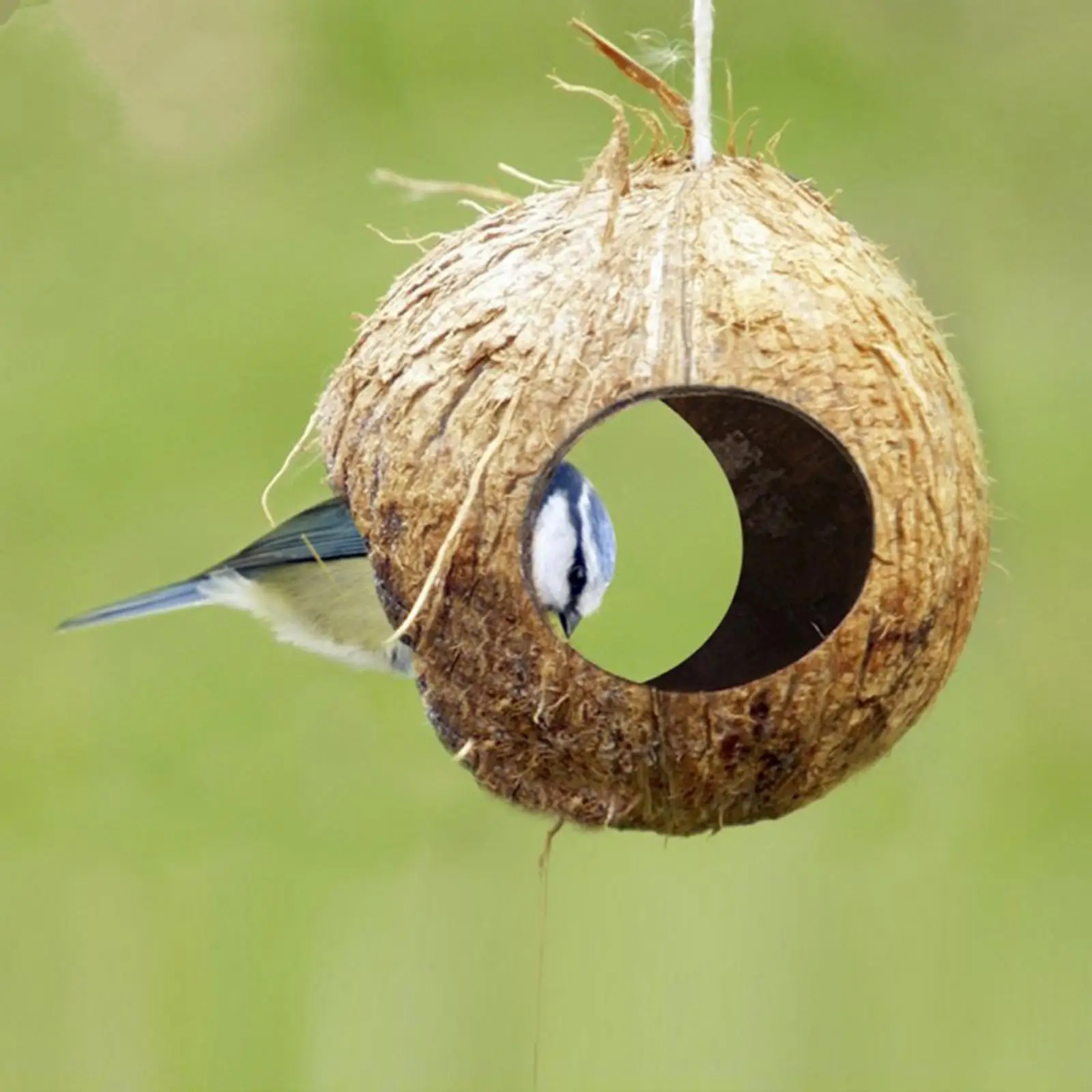 Natural Safety Coconut Bird Nest Parakeet Hut Habitats ing Ornament Toy