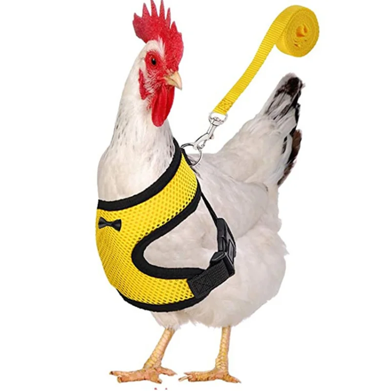 Adjustable Chicken Harness Leash Comfortable and Breathable Small Size Hen Pet Vest for Chicken Duck Goose Training Walking