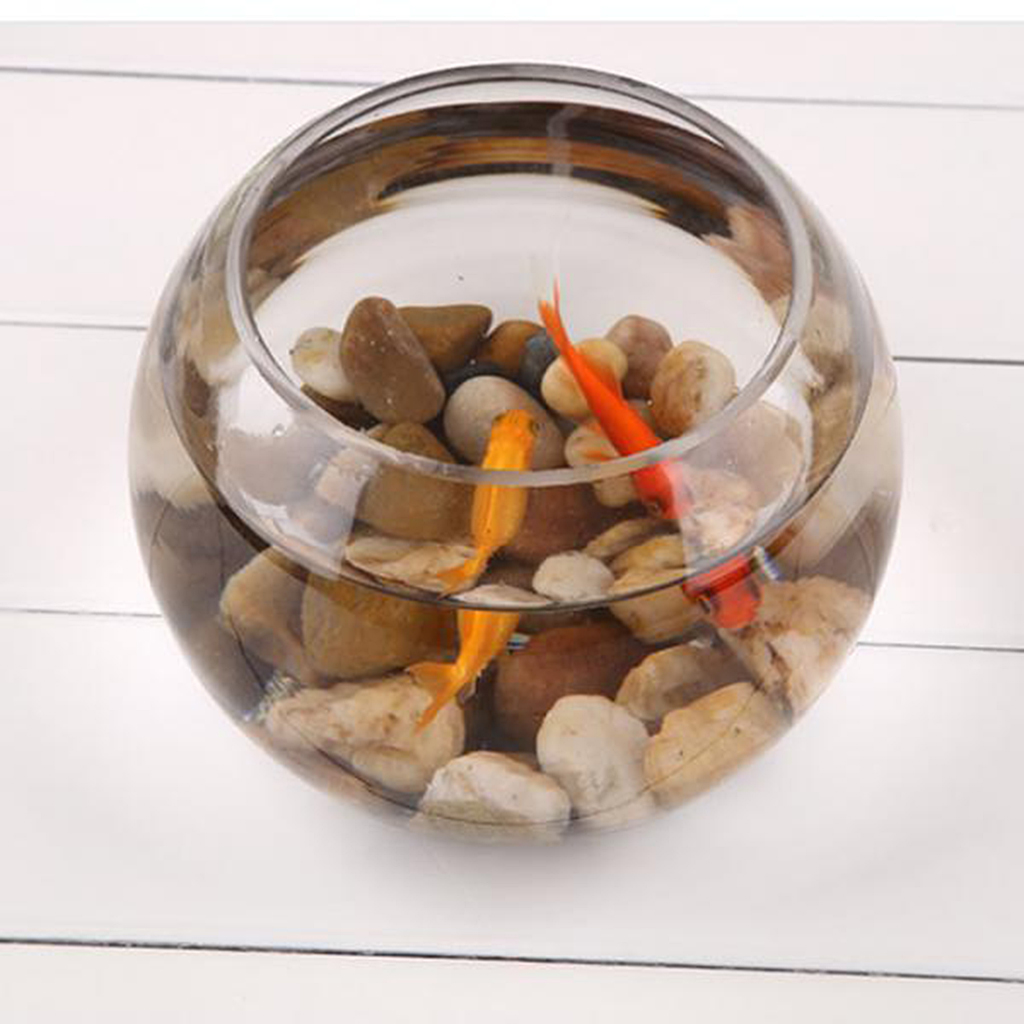 Fish Bowl Glass Plant Pot Fish Tank 6 Inch Decoration Planter for Aquarium