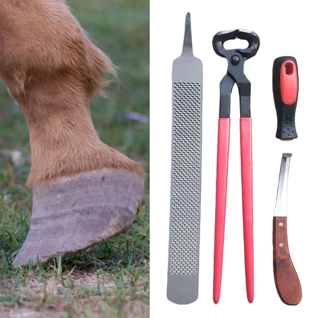 Professional Horseshoe Farrier Tools Hoof Rasp Hoof Nippers Hoof Knife with Handle Hoof Trimming and Cleaning for Donkeys Horse
