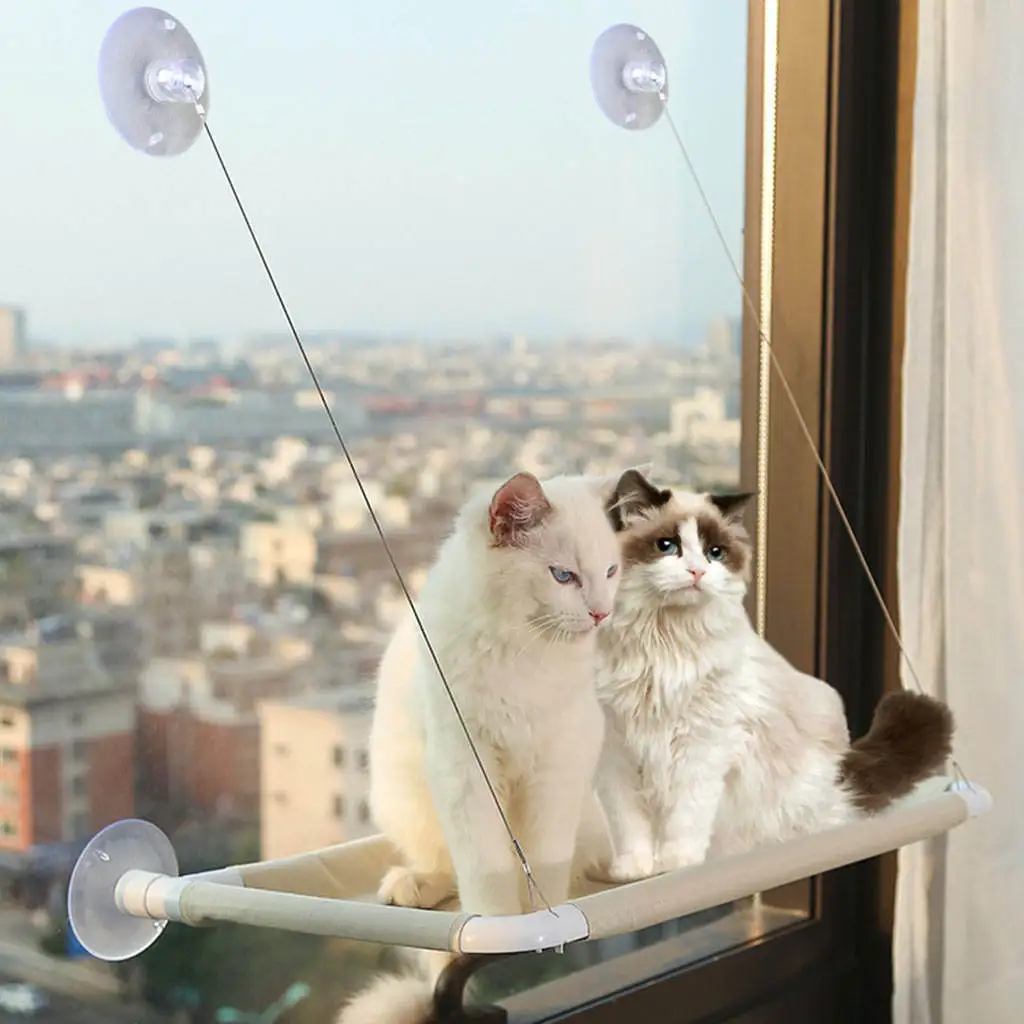 Cat Window Perch Hanging Bed Hammock Sucker Detachable for Pet Playing Pet Supplies Bear 20kg
