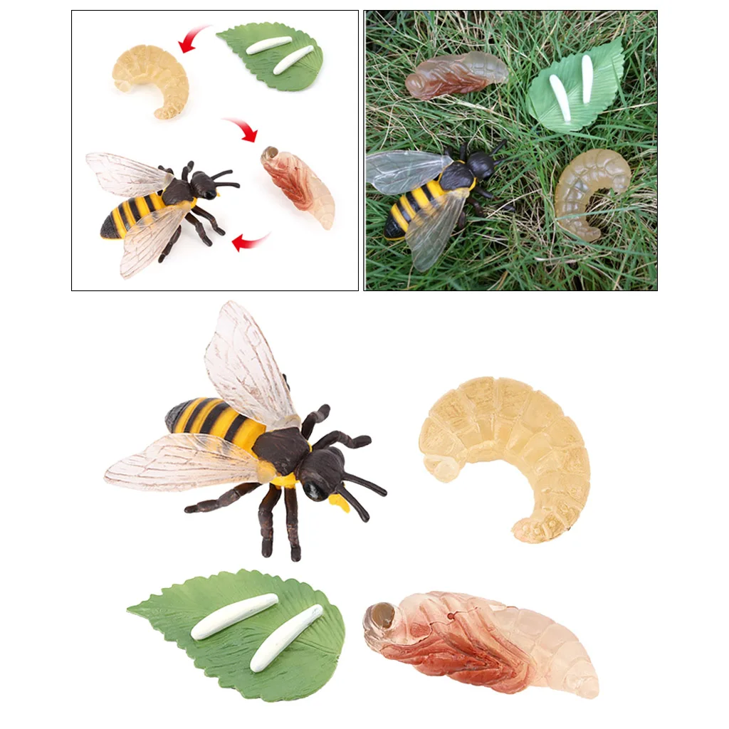 プラスチック製のリアルな子供昆虫蜂成長ライフサイクルフィギュアモデルプレイセット| | - AliExpress