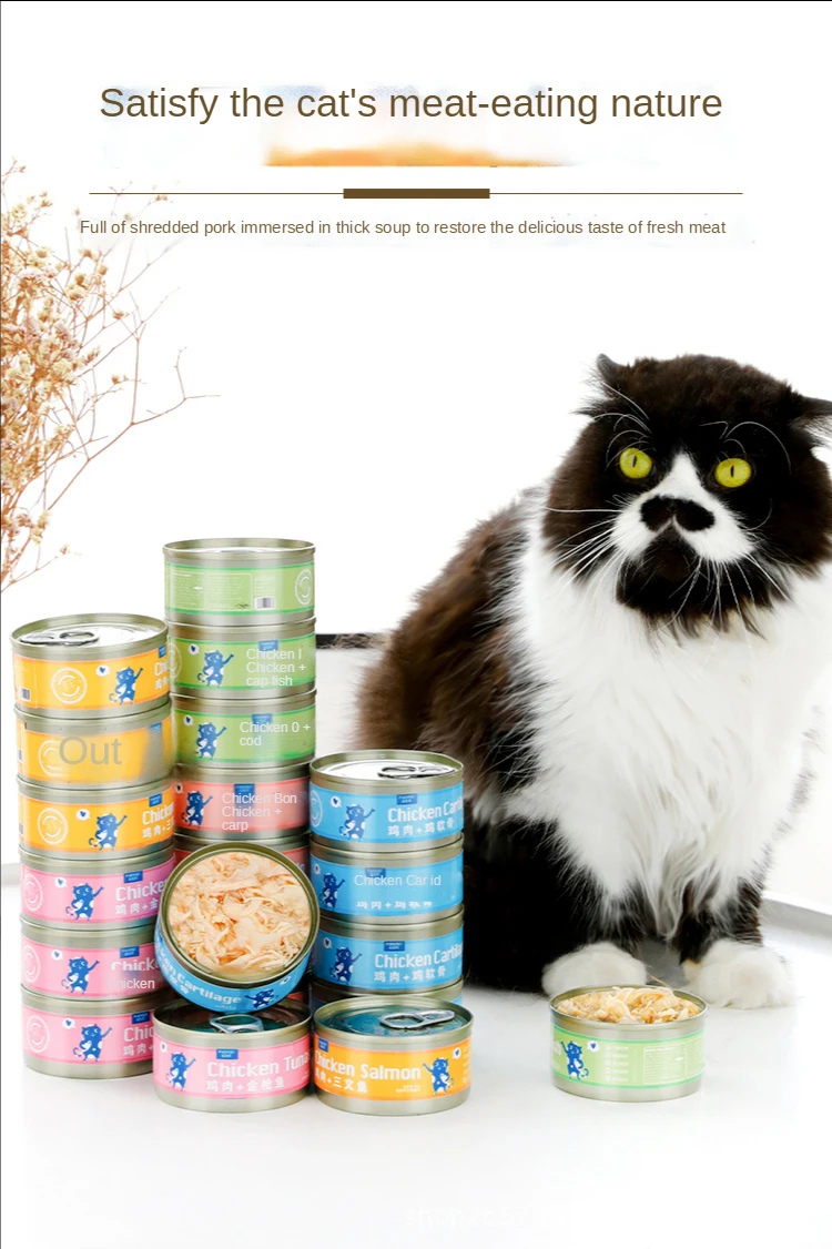 Food, Kitten Wet Food em Cat, engorda Nutrição, 12 latas, 85g