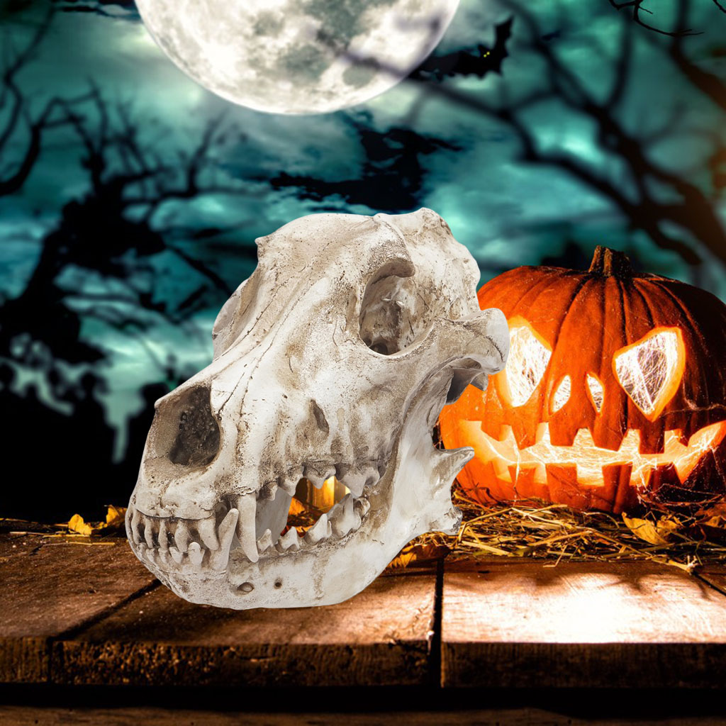 Modern Resin Art Wolf Skull Sculpture Aquarium Ornament Skeleton Statue Turtle Lizard Toy Halloween Office Bedroom