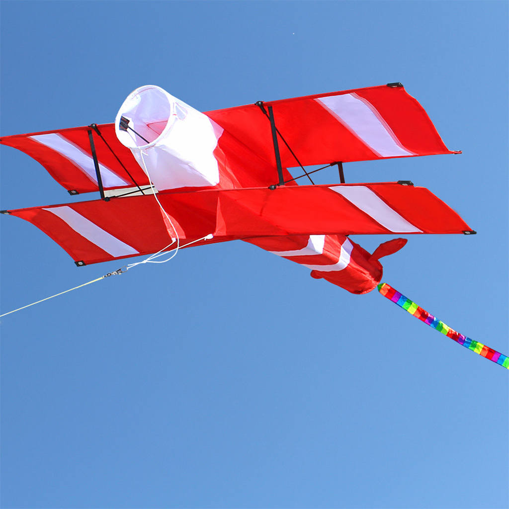 Single-Line Airplane Kites Long Tail Easy to Fly with 100Meters Line Outdoor Sport Toys Park Plane Kite for Kids Adults