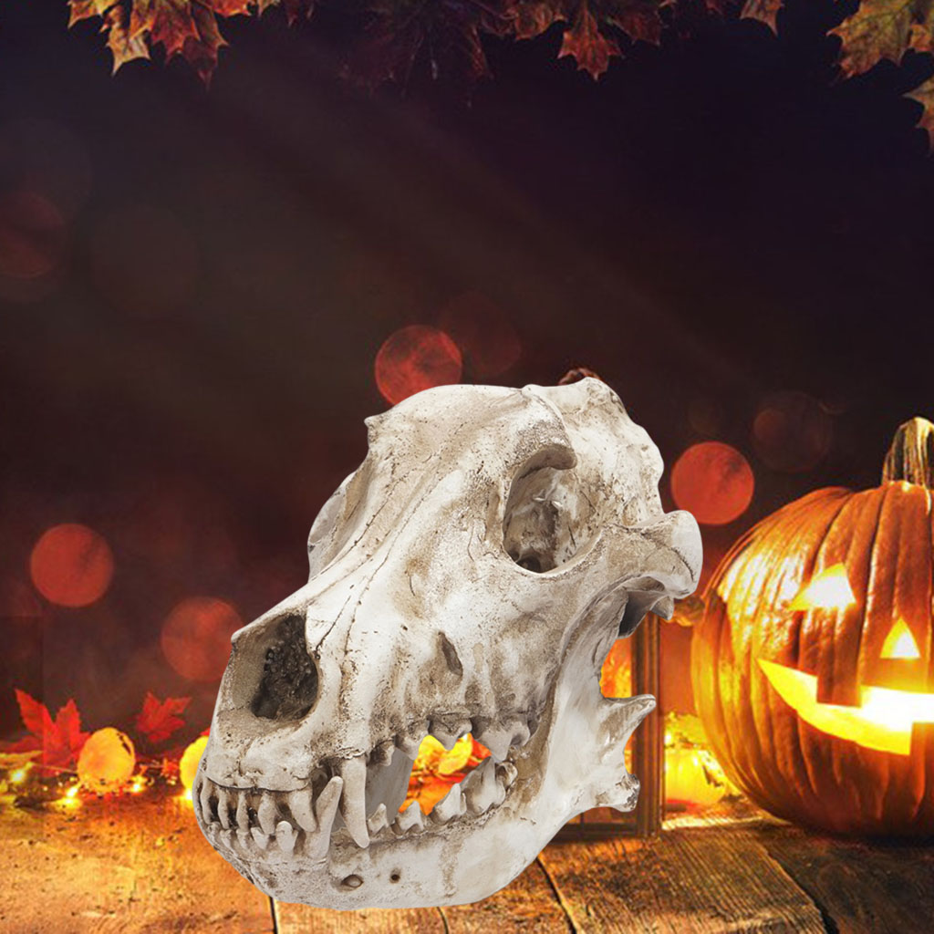Modern Resin Art Wolf Skull Sculpture Aquarium Ornament Skeleton Statue Turtle Lizard Toy Halloween Office Bedroom
