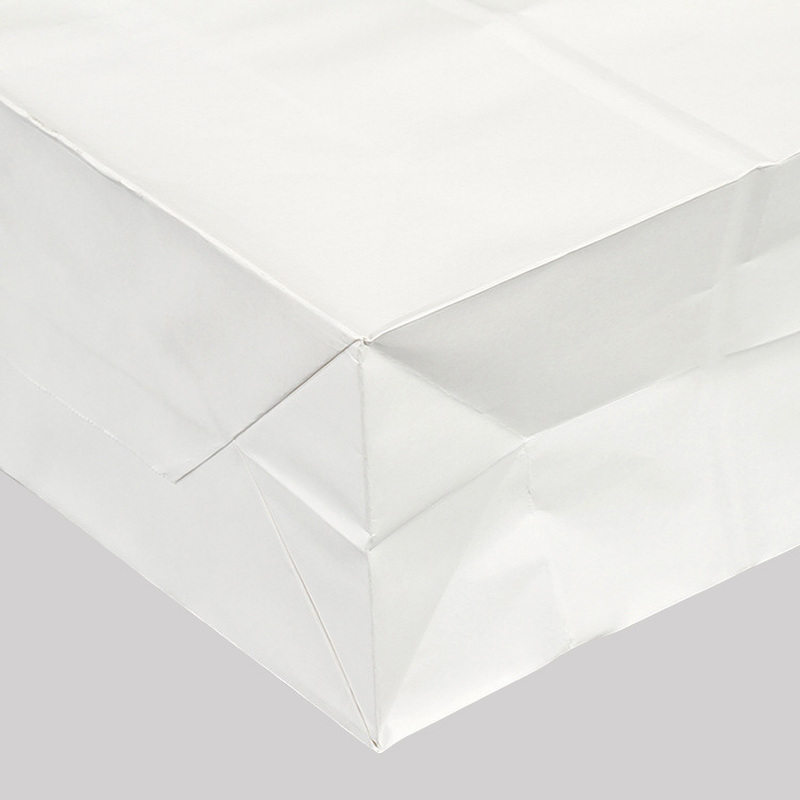 Alças, Sacos De Papel Kraft, Recicláveis, Proteção