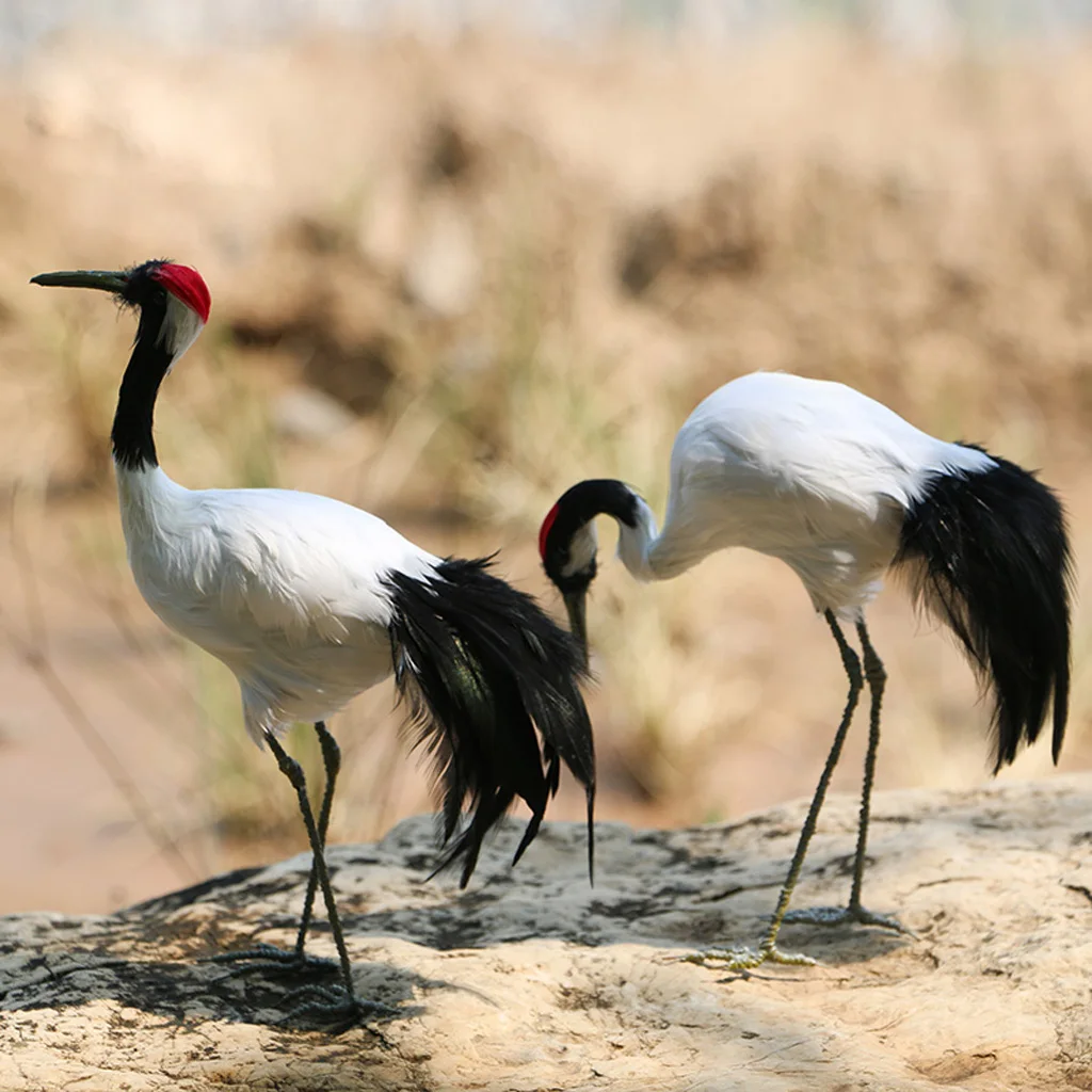 Realistic Red-crowned Crane Birds Statue Realistic Figurine Ornament Garden Home Outdoor Landscape