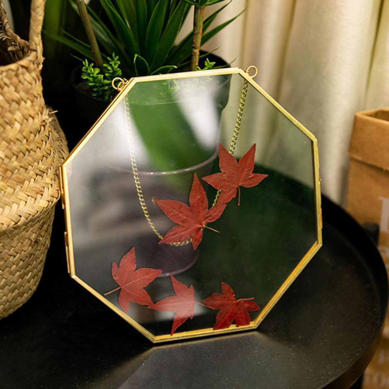 Brass Hanging Photo Frame for Display Plant Specimen Dried Flowers DIY