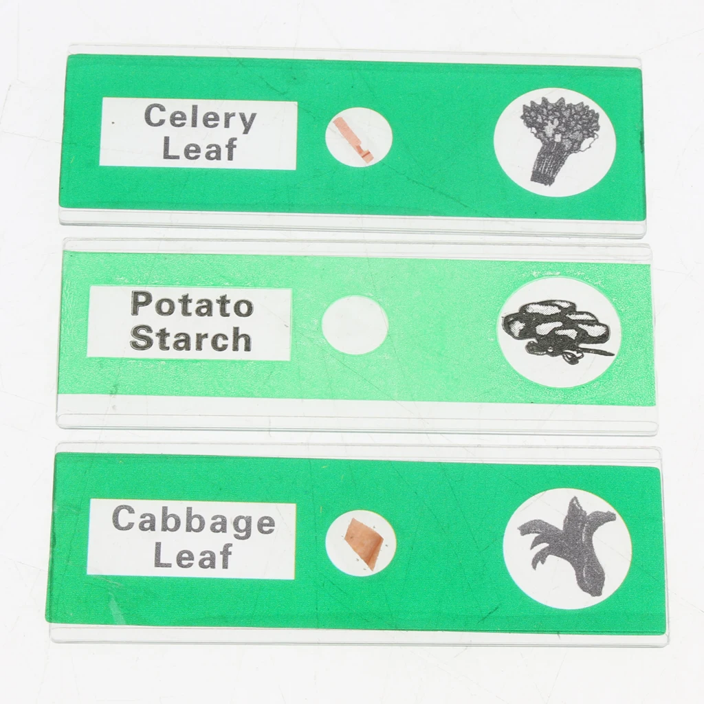 12Pcs/Box Prepared Glass Microscope Slides Biology Specimen Kids Education