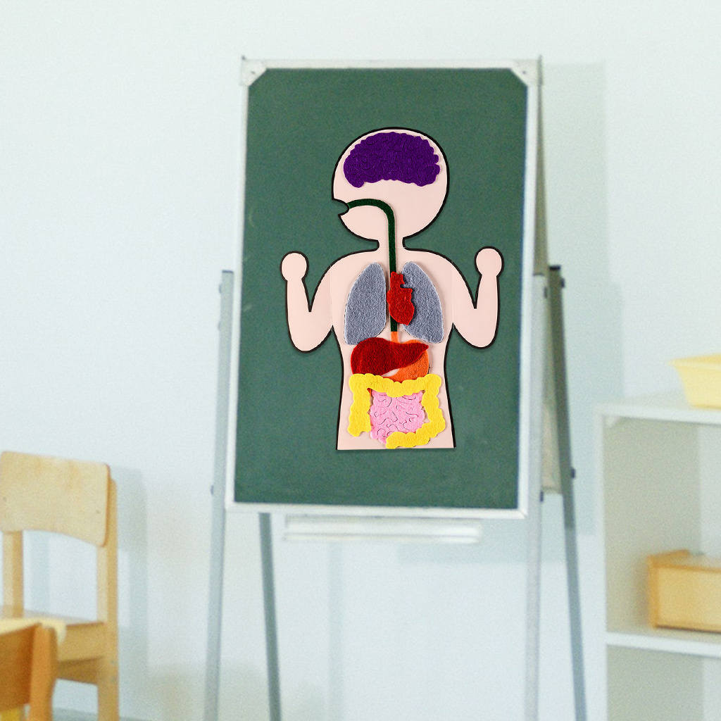 DIY Human Organ Cognition Enlightenment Teaching Aid Preschool Science Early Learning for Christmas Present Gifts Baby Toddlers