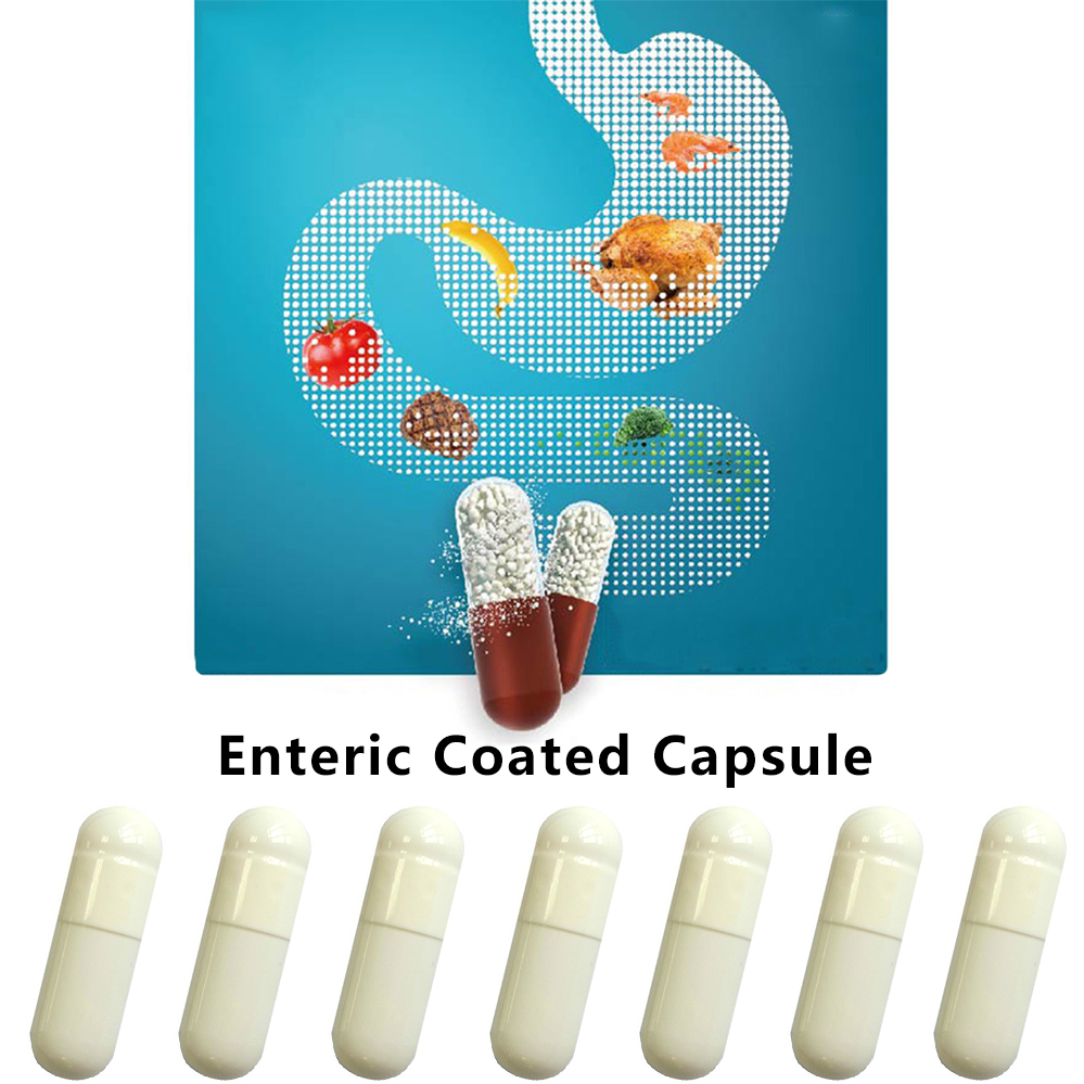 Best of Enteric Coated Capsule 1 # Enterosoluble Empty Hard Gelatin Capsule Gel Medicine Pill Hollow Hard Gelatin Joined Capsules Reviews & Tips