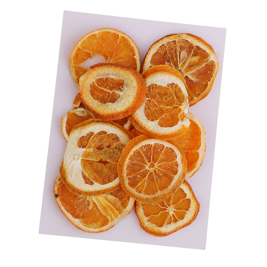 10x Pressed Natural Dried Fruits Orange Slices DIY Jewelry Photography Tools