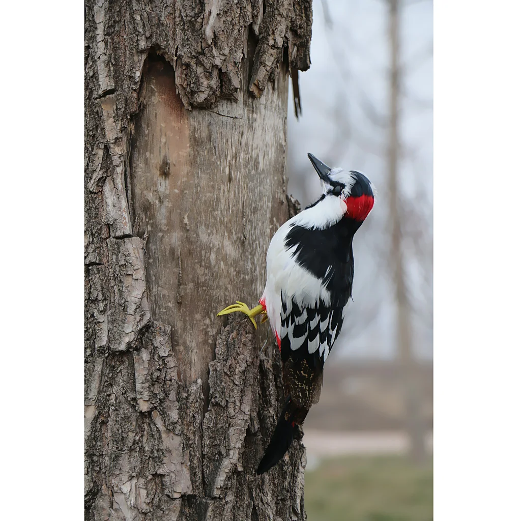 Artificial Woodpecker Simulation Feather Bird for Craft Home Garden Wedding