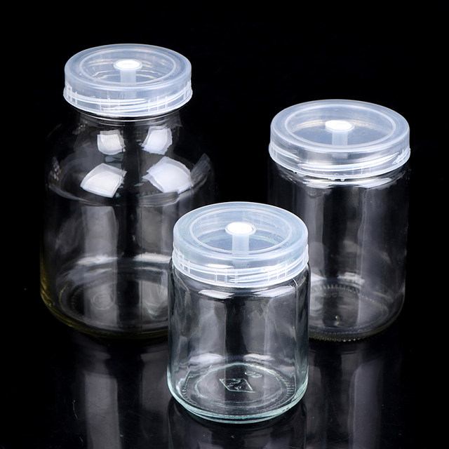 Borosilicate Glass Jar - 650Ml, Leaf Prints - Market99 – MARKET 99