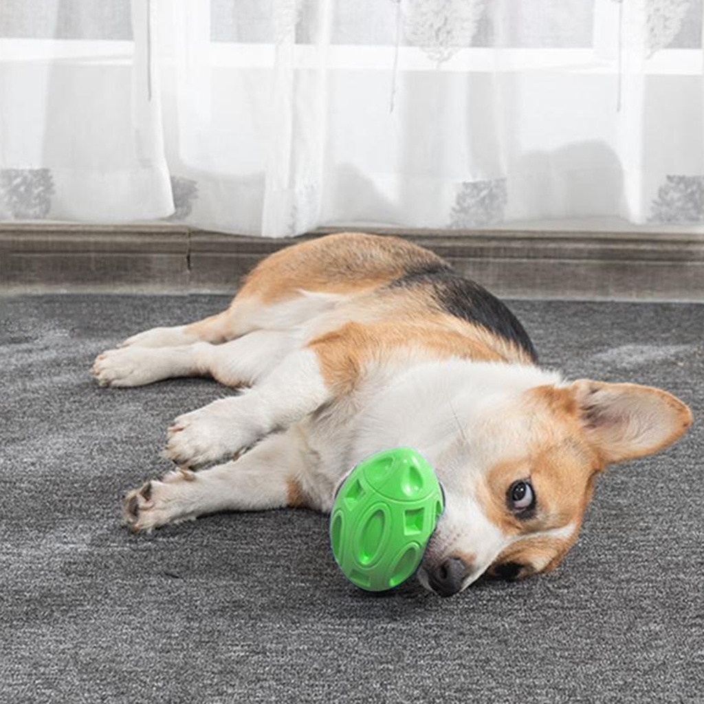 durable dog toys reddit