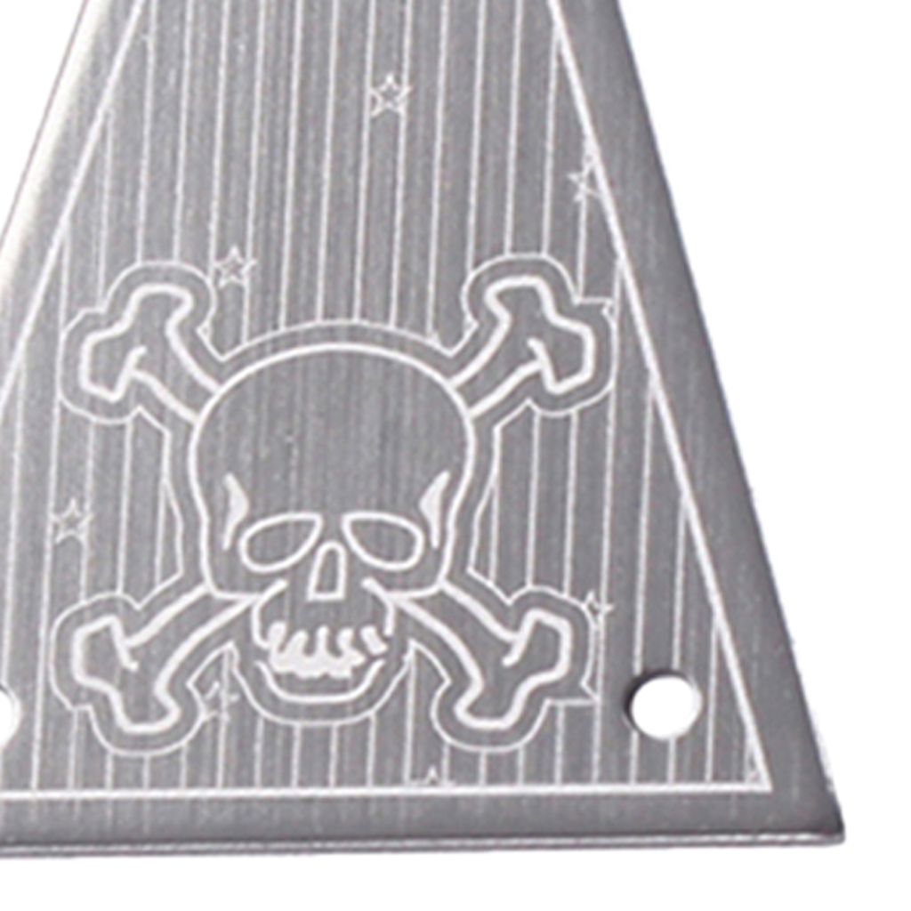 Triangle Skull Head Electric Guitar  Rod Cover Plate w/ Screws Set