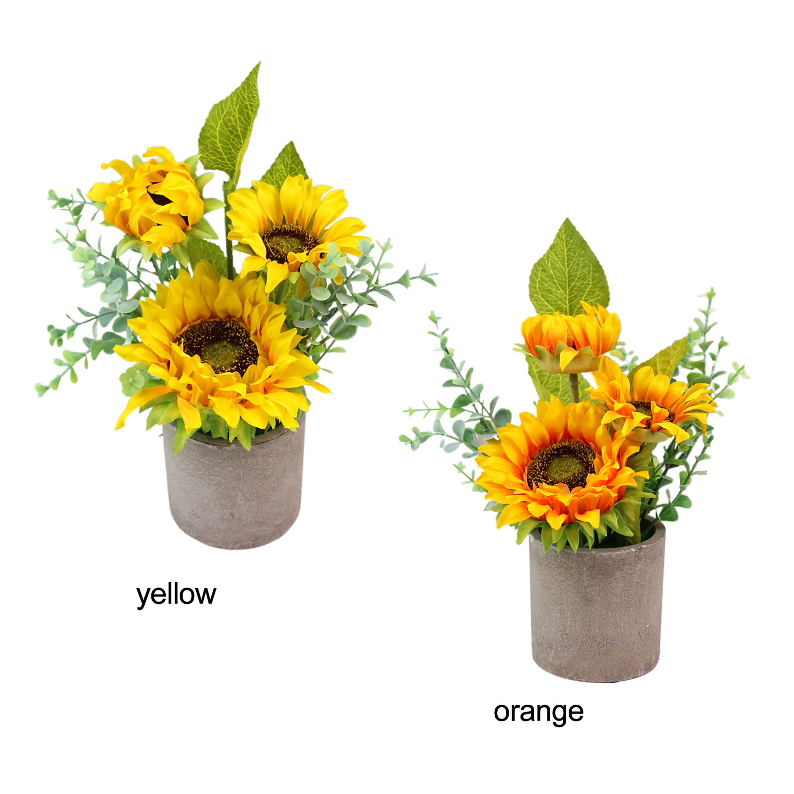 Комнатный мини-подсолнух. Подсолнечник декоративный bert. Подсолнух в горшке. Искусственный подсолнух в горшке. Подсолнух сорт pacino.