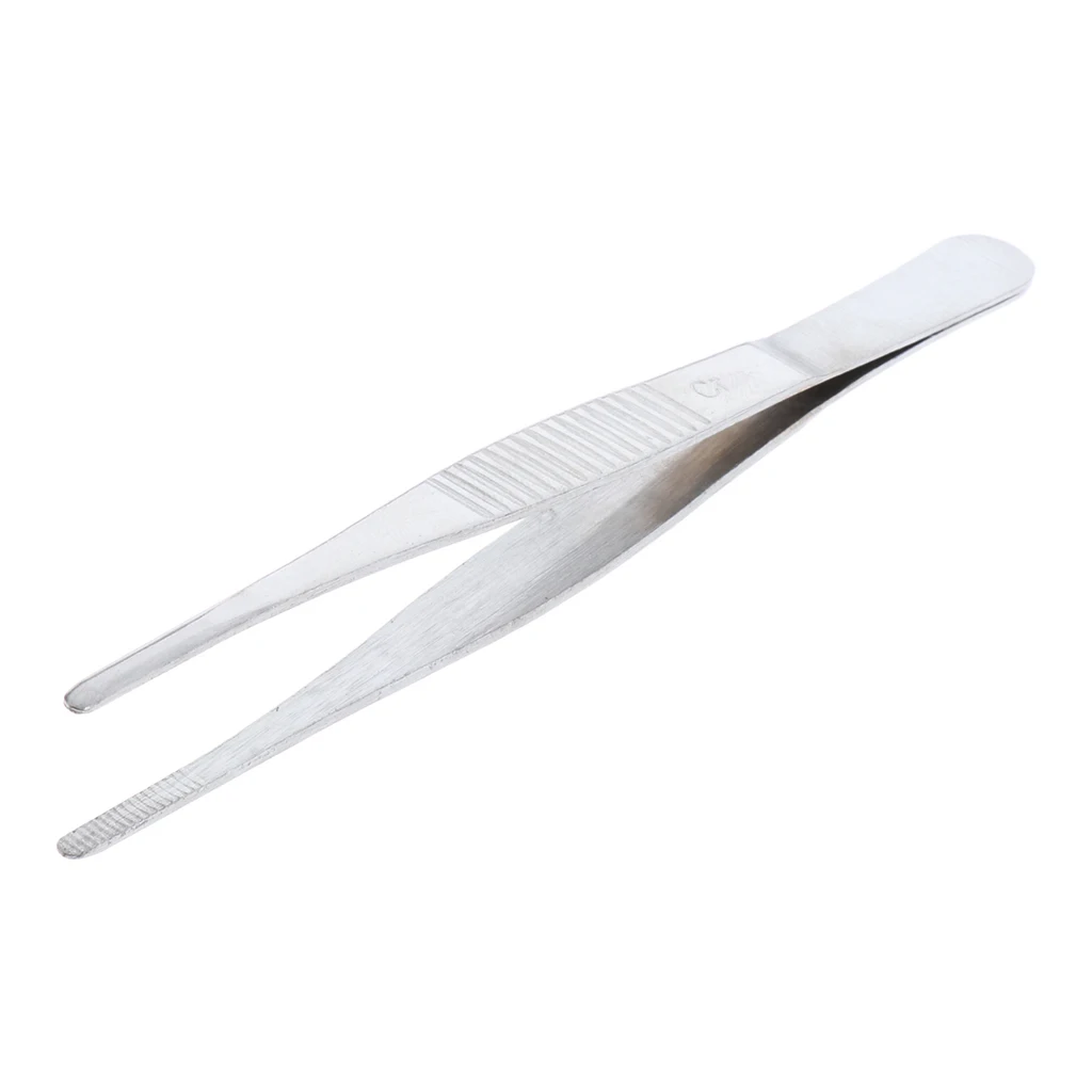 Stainless Steel Tweezers Straight Serrated Tip Round Head 140mm / 5.51''