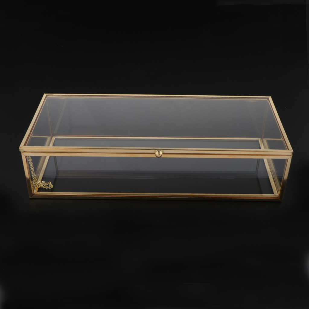 Vanity Transparent Jewelry Storage Box Showcase Holder Geometric Terrarium for