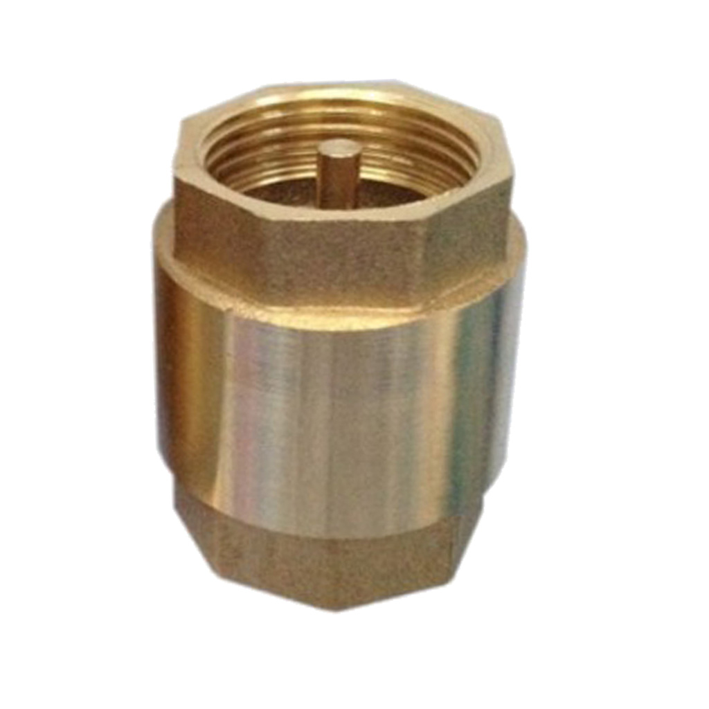 Non Return One Way Check Valve for Water Petrol  Oils ect. 2 Inch