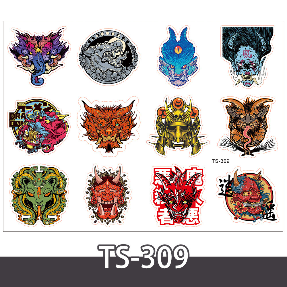TS-309