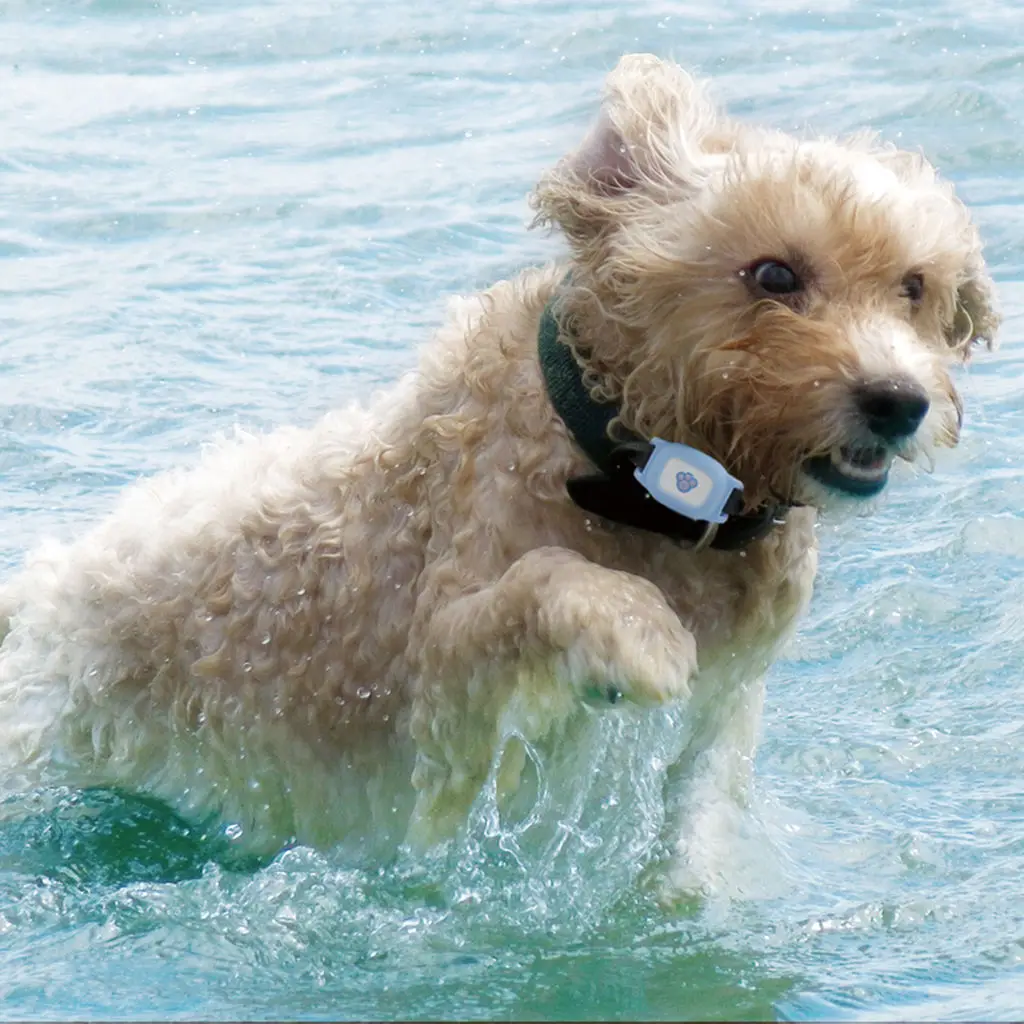 Smart GPS Beidou LBS Location Tracker Pets Collar Finder Waterproof