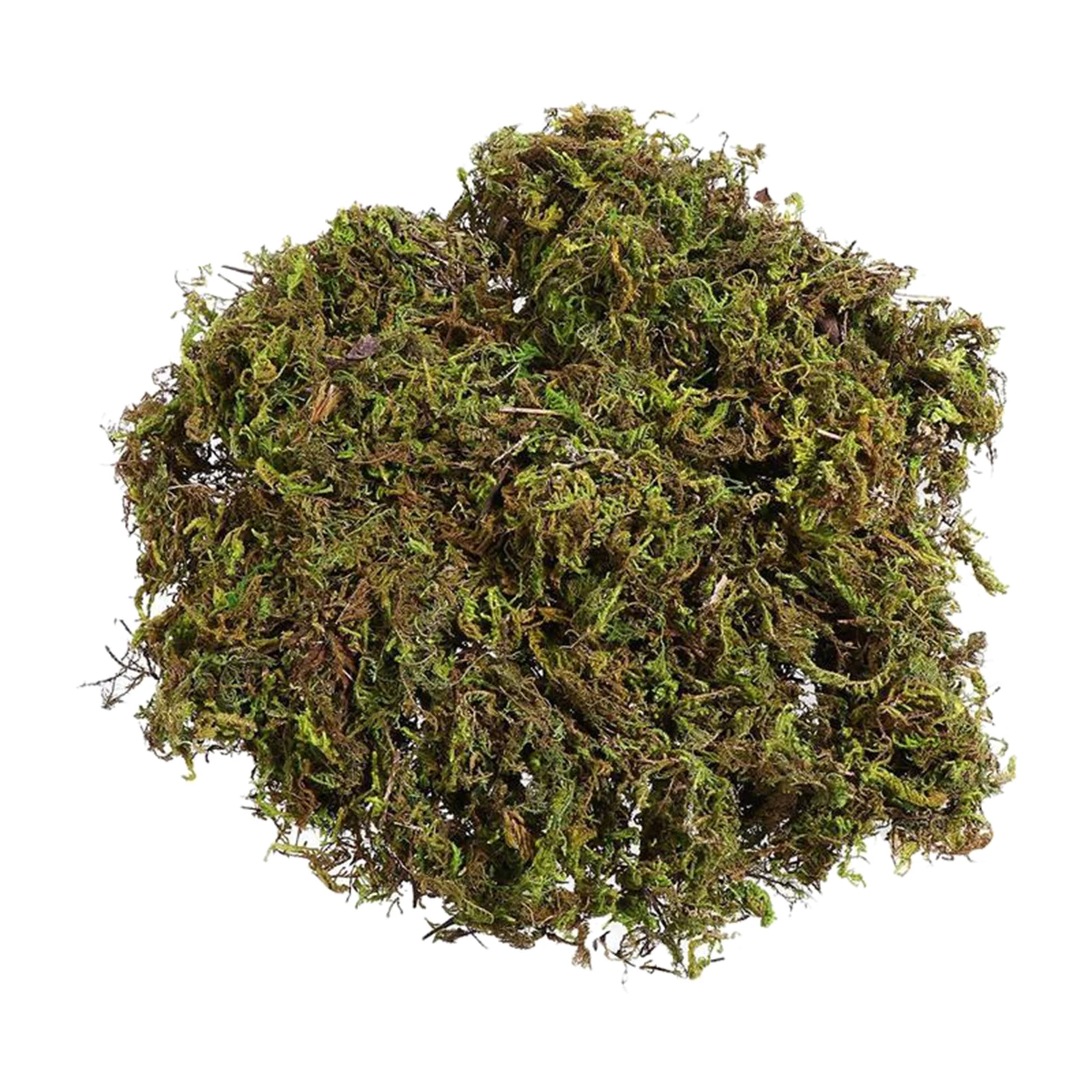 100g Artificial Dry Green Moss Decoration Dressing for Fairy Gardens Crafts