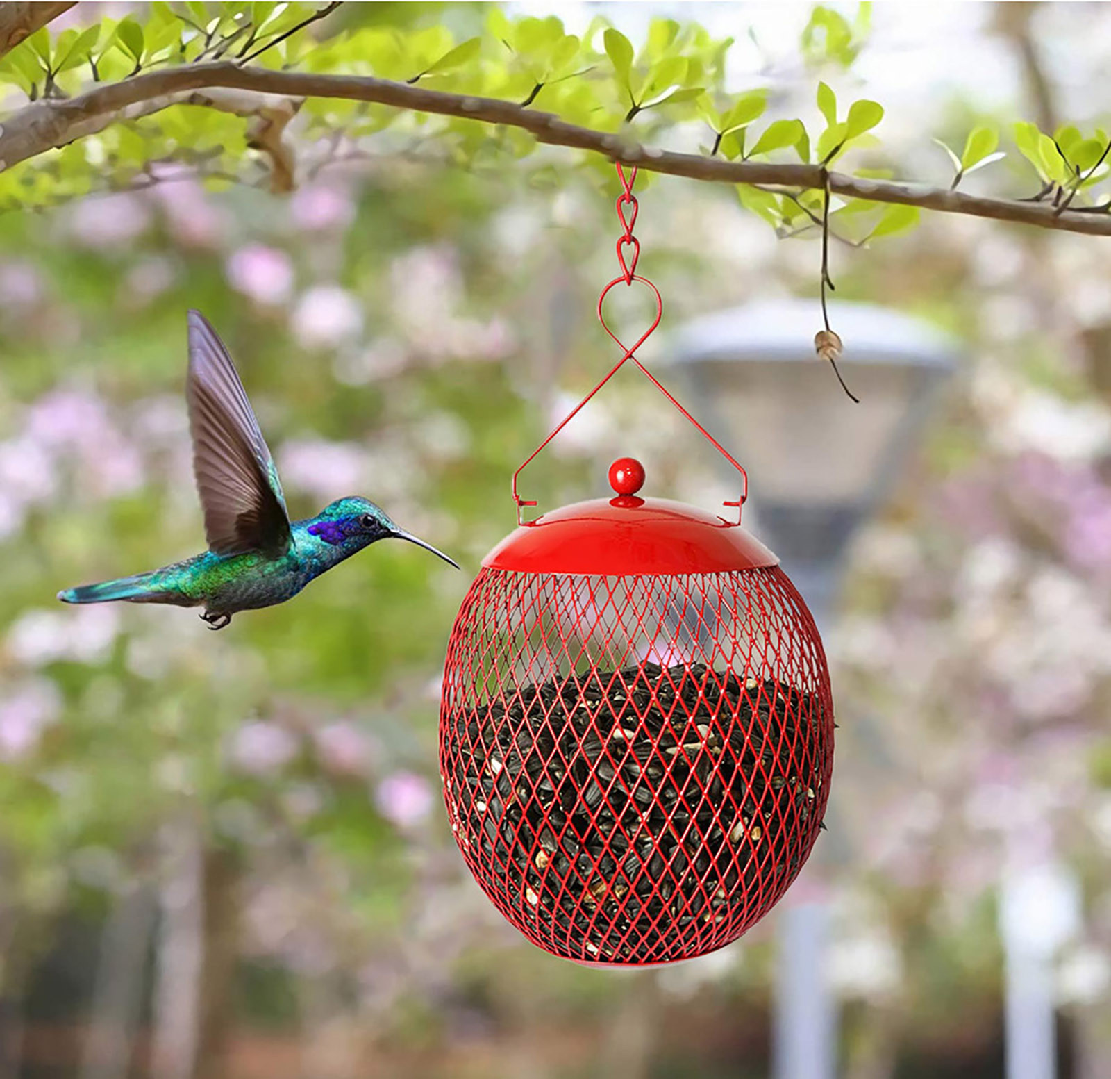 Courtyard Feeder bird cages Berrie Hummingbird bird feeder cage Garden bowls and bowls Villa Balcony bird feeder camera Courtyard Feeder bird cages Berrie Hummingbird bird feeder cage Garden bowls and bowls Villa Balcony bird feeder camera