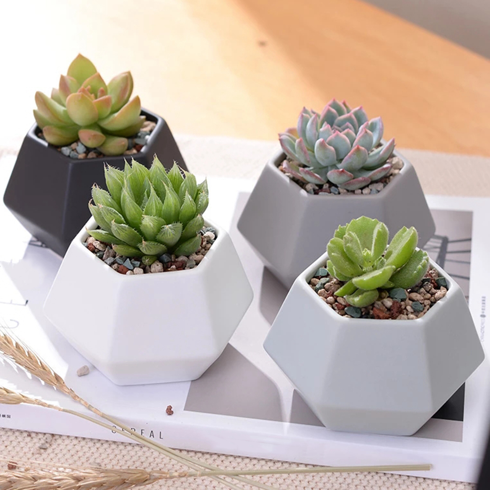 4PCS Mini Geometry Planter Pots for Home Office Window -Colorful (Plants NOT