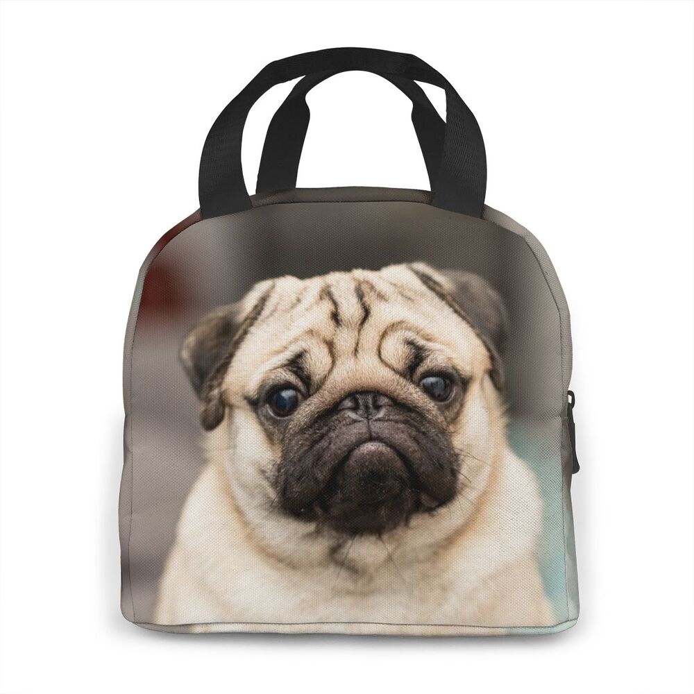 High Quality Bolsas e Malas