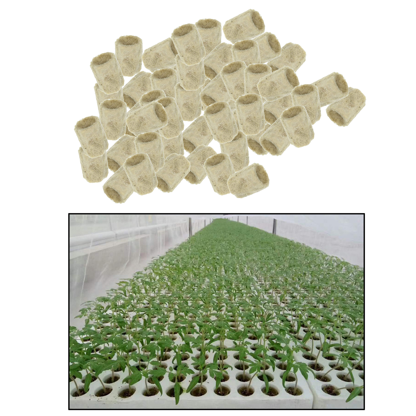 50Pcs Garden Starter Plugs Cubes Rock Wool Grow Media Seedling Soil Block