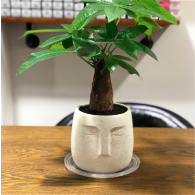 3D Resin Craft DIY Clay Human Face Cement Silicone Planter Mould Big Decorating Vase Making Concrete Flower Pot Molds