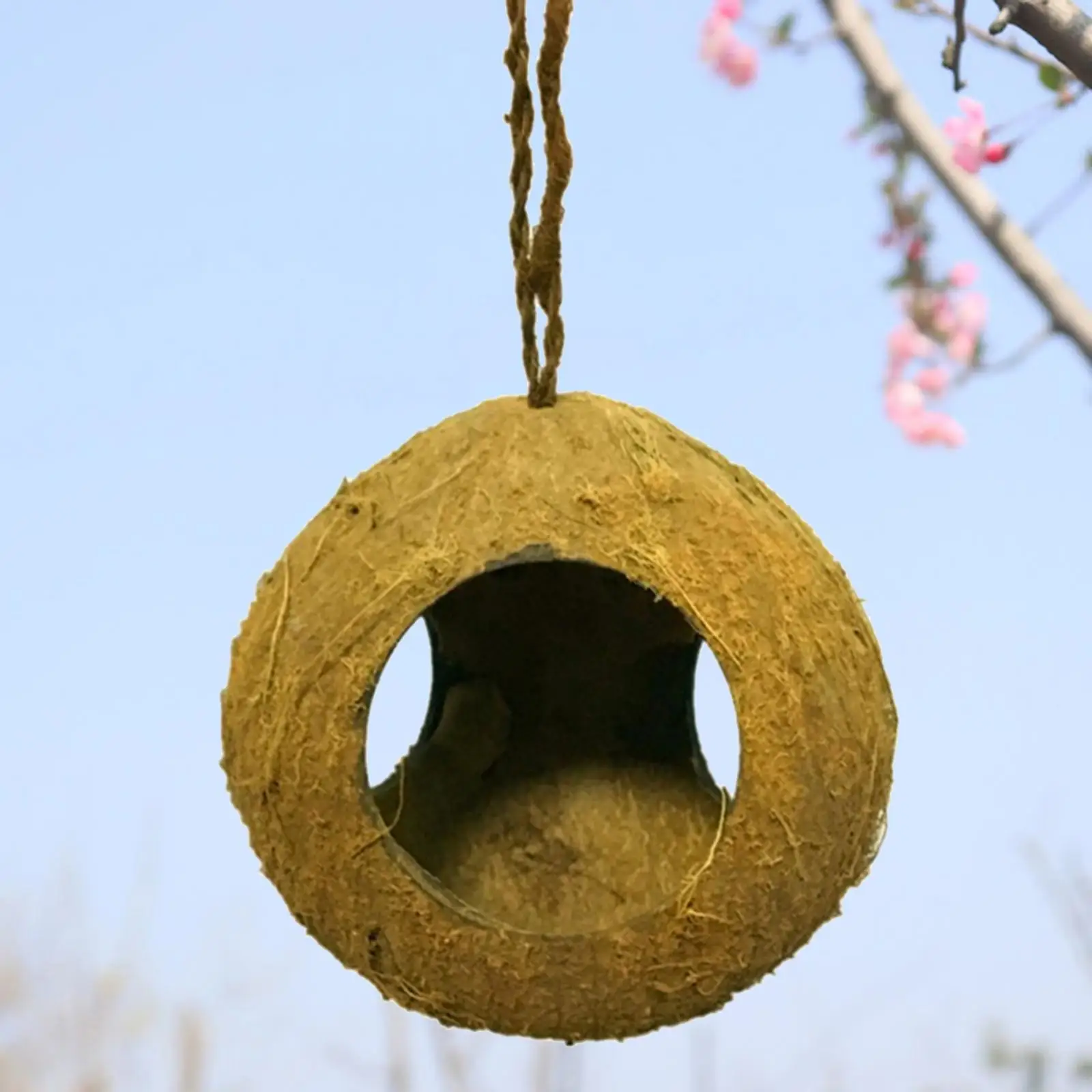 Natural Safety Coconut Bird Nest Parakeet Hut Habitats ing Ornament Toy