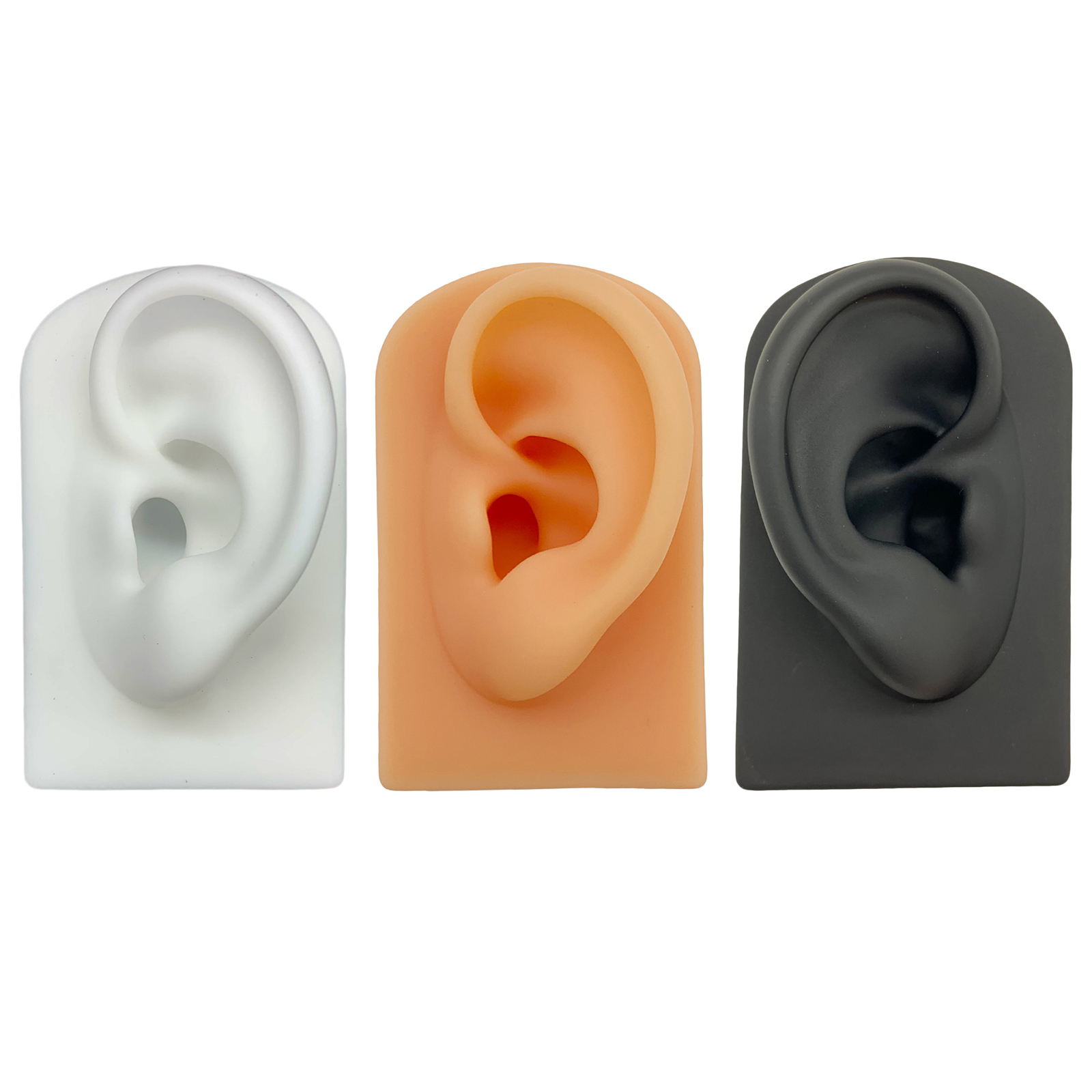 Ear Model Human Body Part Model Simulation Silicone Artificial Ear Model Soft Silicone Human Ear Model