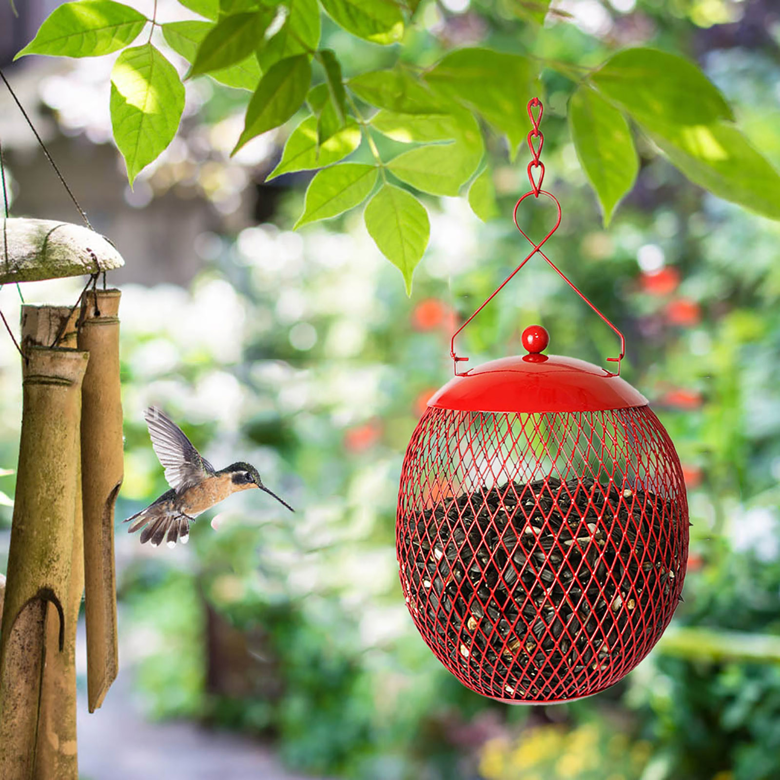 Courtyard Feeder bird cages Berrie Hummingbird bird feeder cage Garden bowls and bowls Villa Balcony bird feeder camera Courtyard Feeder bird cages Berrie Hummingbird bird feeder cage Garden bowls and bowls Villa Balcony bird feeder camera