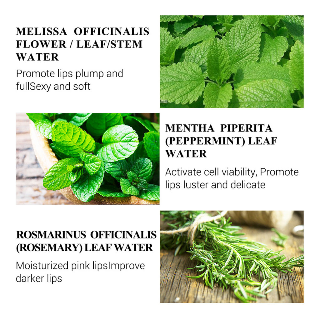 1 Piece Lips Serum Repairing Plumper Promote Luster Resist Aging for Lips Care Travel lips Serum  Gifts For Womens