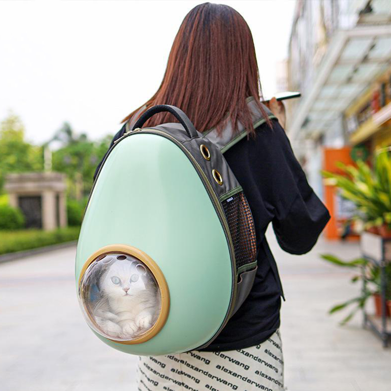 cápsula viagem cão gato saco bolsa