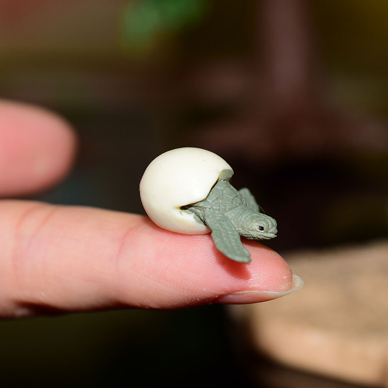 Miniature Oceans Animal Model Turtle Alligator Whale Shark Dolphin Penguin Clownfish Frog Sea World Mini Figurine Decor Toys