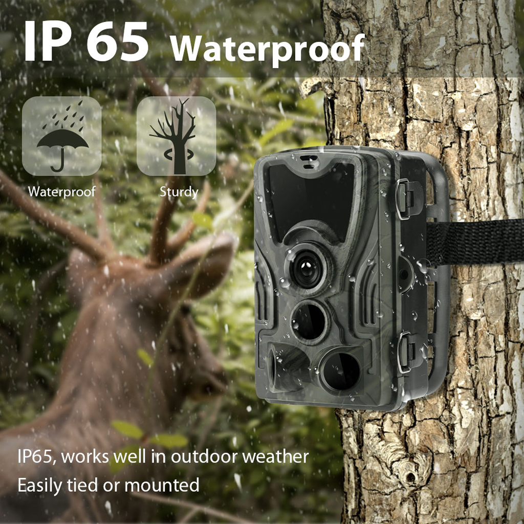 Trilha ao ar Caça Câmera Impermeável Ip56 Livre Cam Armadilha Hc801-a 1080p hd 16mp 5 Cheap Câmeras de caça