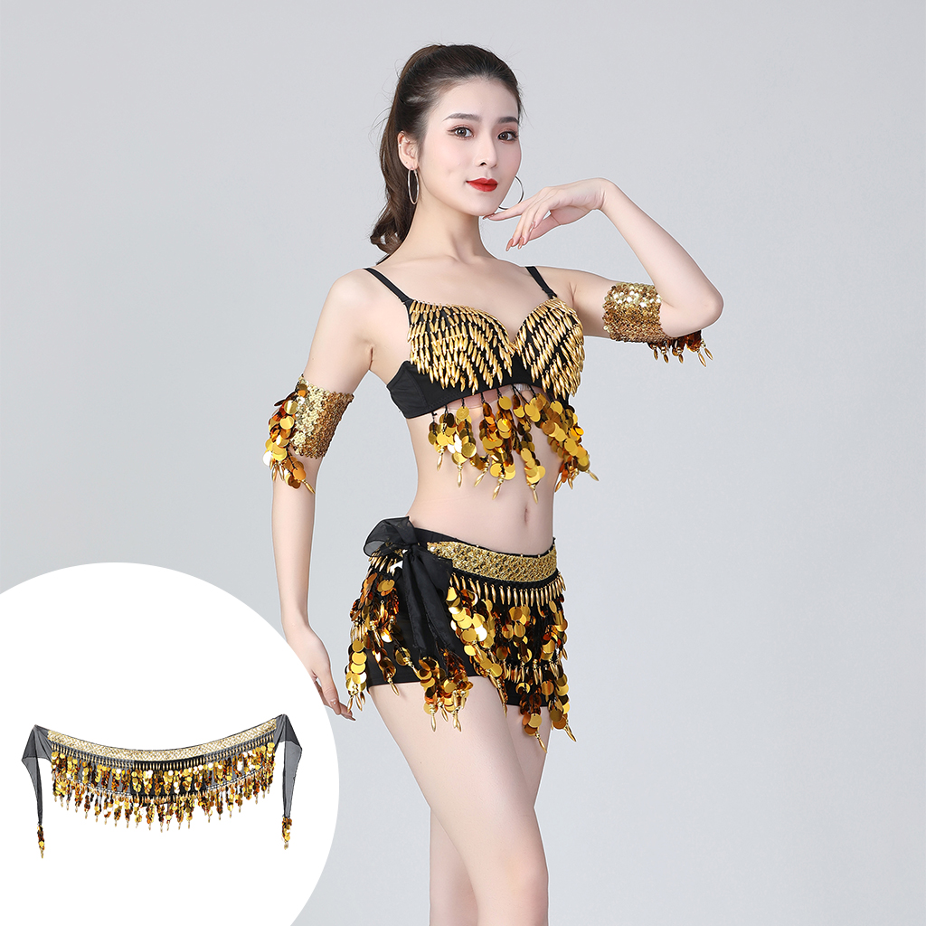 Belly Dance Belt Costumes Sequins Tassel,Belly Dance Hip Scarf for Women,Chiffon Hip Skirts Belts Indian Dance Waist Chain