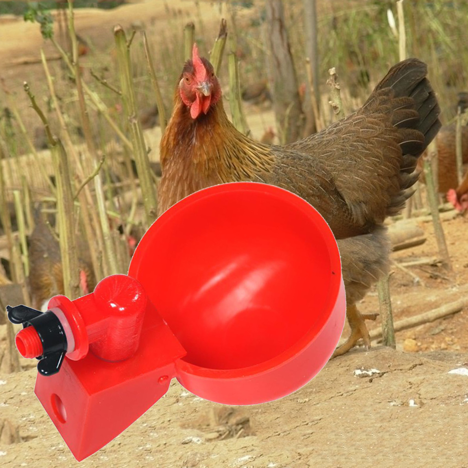 Poultry Watering Cups Bowl Plastic Waterer Duck Feeder Supplies Easy Install