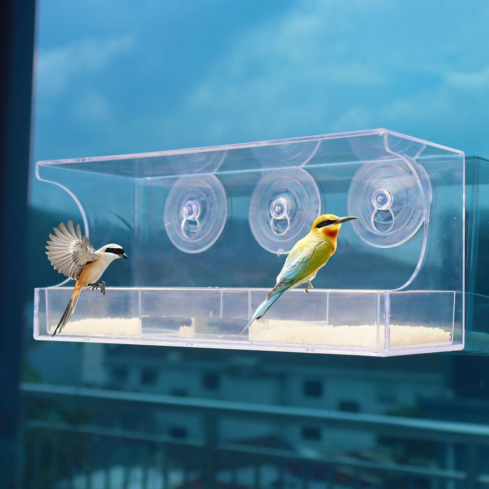 Window Bird Feeder Easy Clean Covered Weatherproof Roof Cover Hanging Bird House for Blue Bird Songbirds Blue Bird
