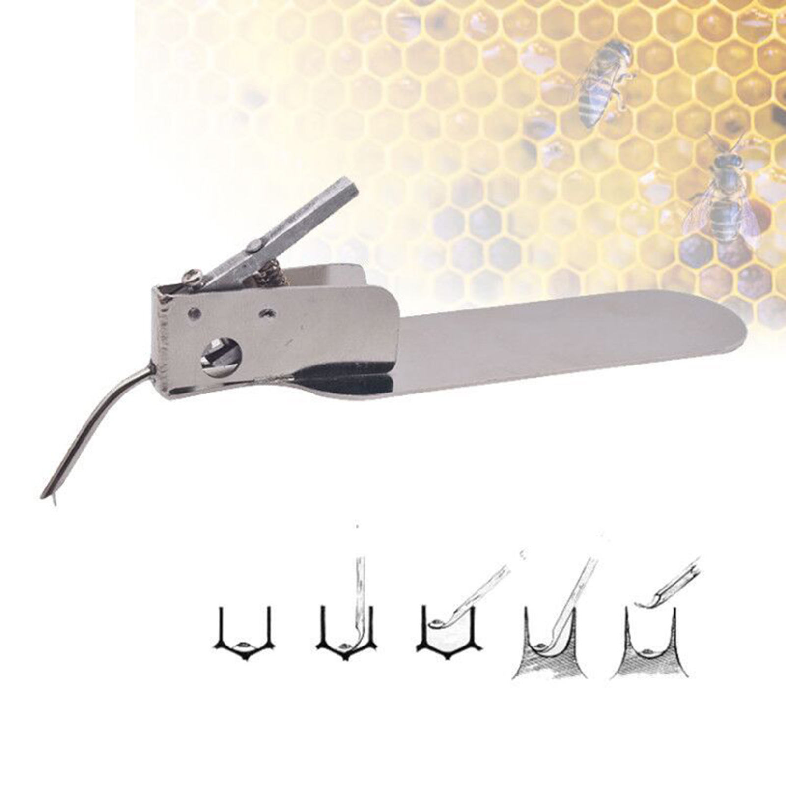 Stainless Steel Worm Grafting Tool with Spare Tongue for Moving Queen Bee Larva Beekeeping Grafting Tackle Transferring Tool